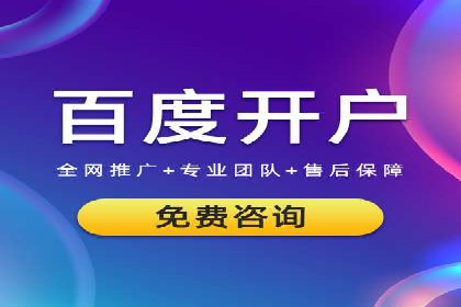百度推广实战：成功企业的营销策略